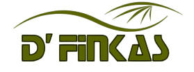Definkas - Formación